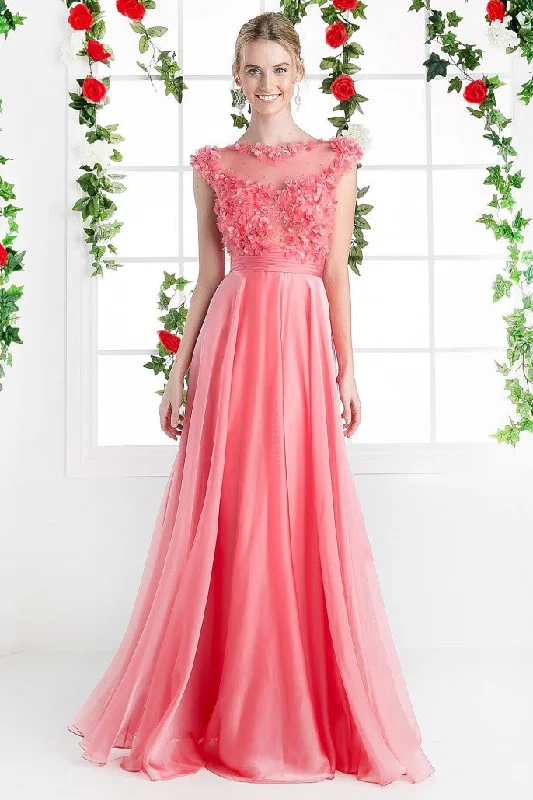 Wardrobe Upgrade CD 218 Size 4 Long A Line Chiffon Sheer 3d Flower Formal Dress Cap Sleeve Evening Gown