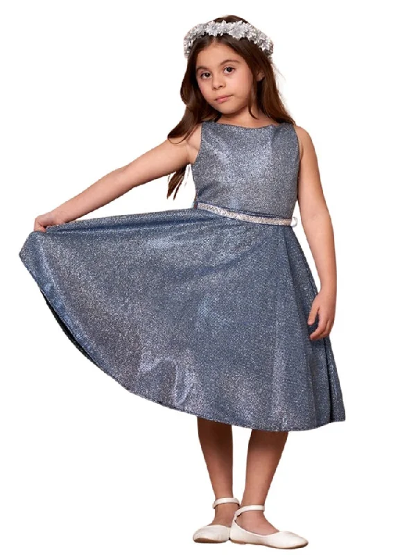 The Latest Trends Little Girls Midnight Blue Glitter Metallic Flower Girl Dress 2-6